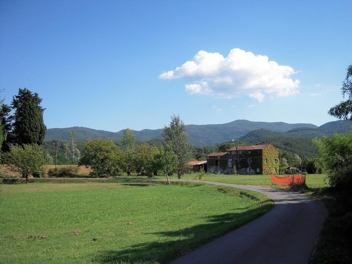 Al Cascinale Villa Lucca Luaran gambar