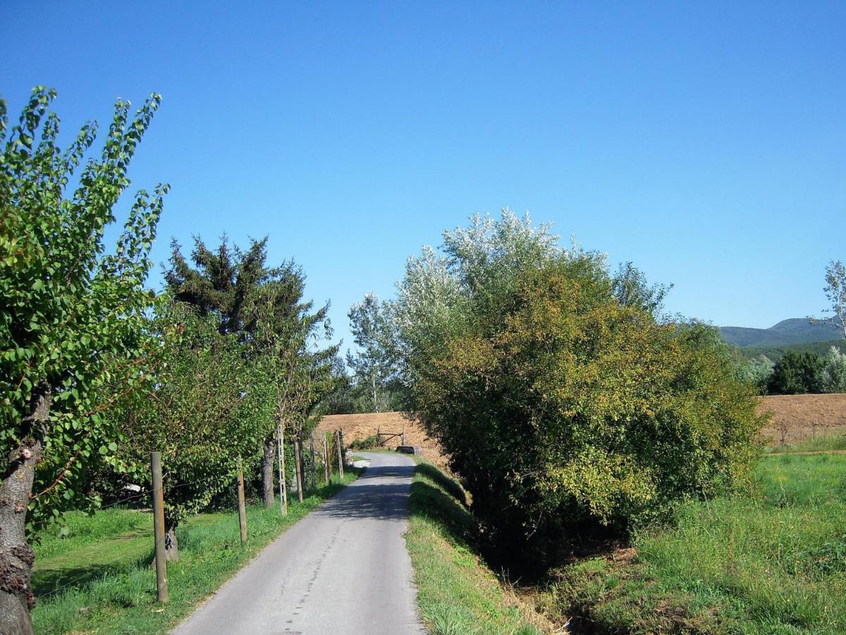 Al Cascinale Villa Lucca Luaran gambar