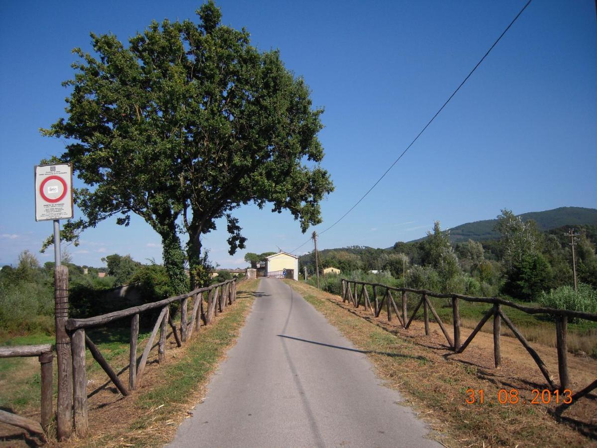 Al Cascinale Villa Lucca Luaran gambar